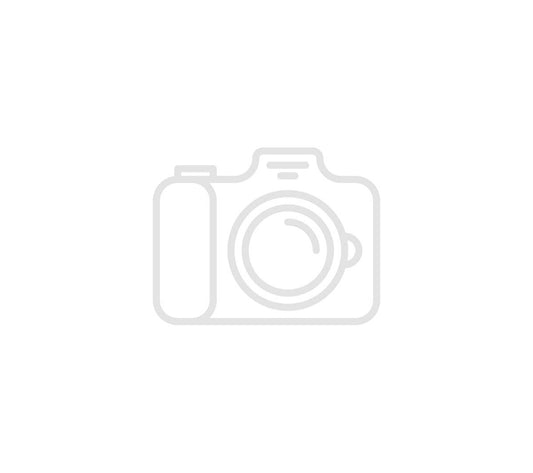 Hoist Motor - H160100